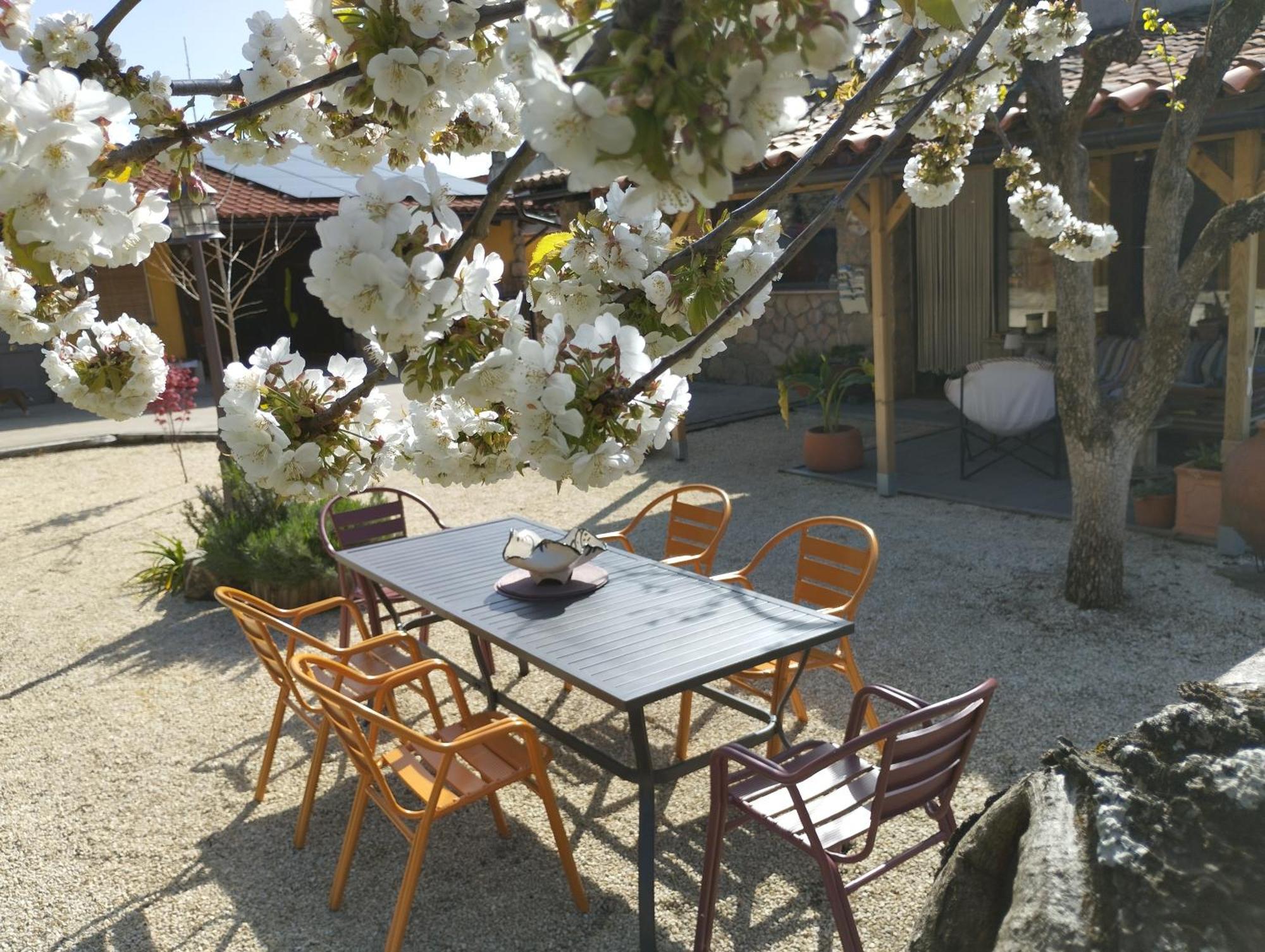 Apartamento Rural Se De Un Lugar El Torno  Eksteriør bilde
